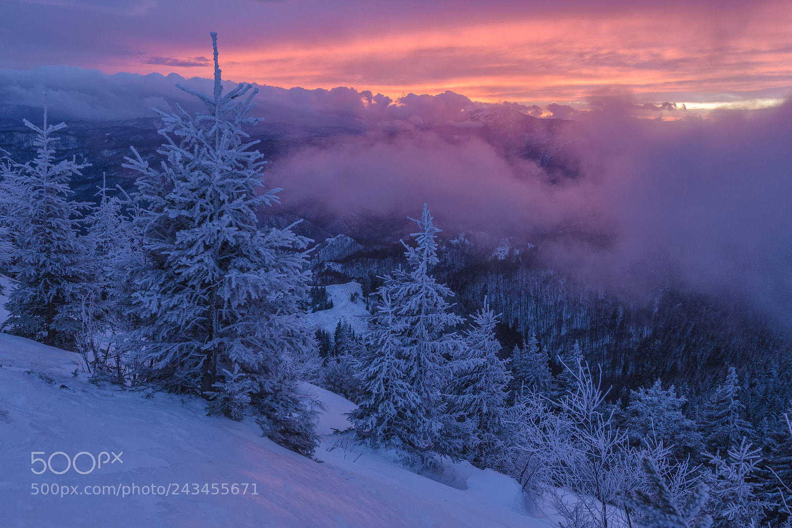 Nikon D610 sample photo. Frozen sunset photography