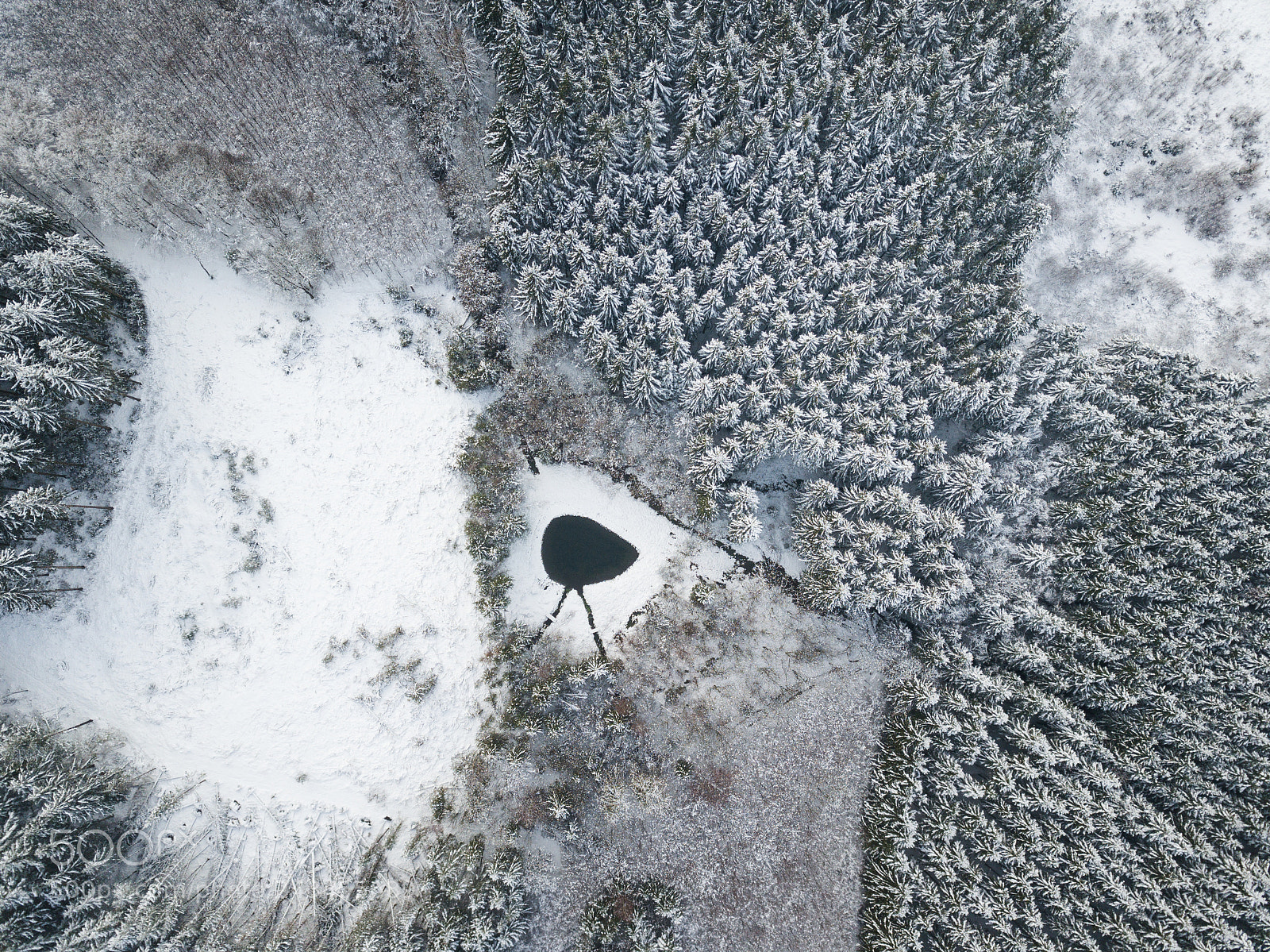 DJI FC220 sample photo. Forest's eye photography