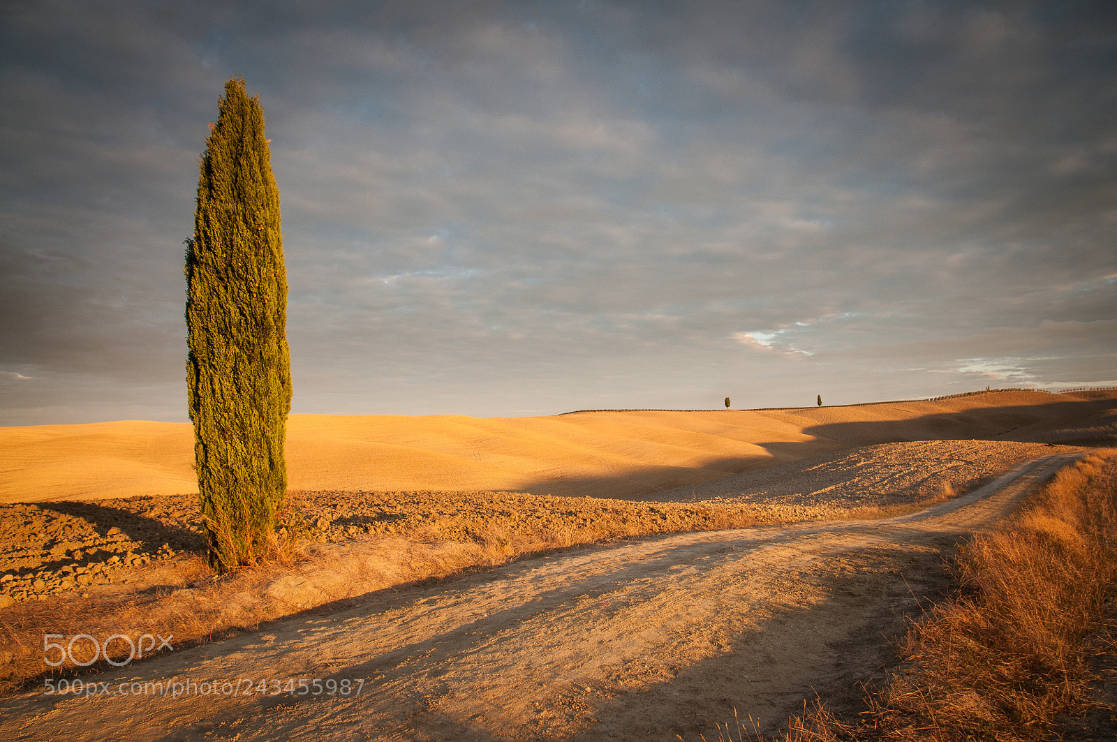 Nikon D90 sample photo. Toscana early morning photography