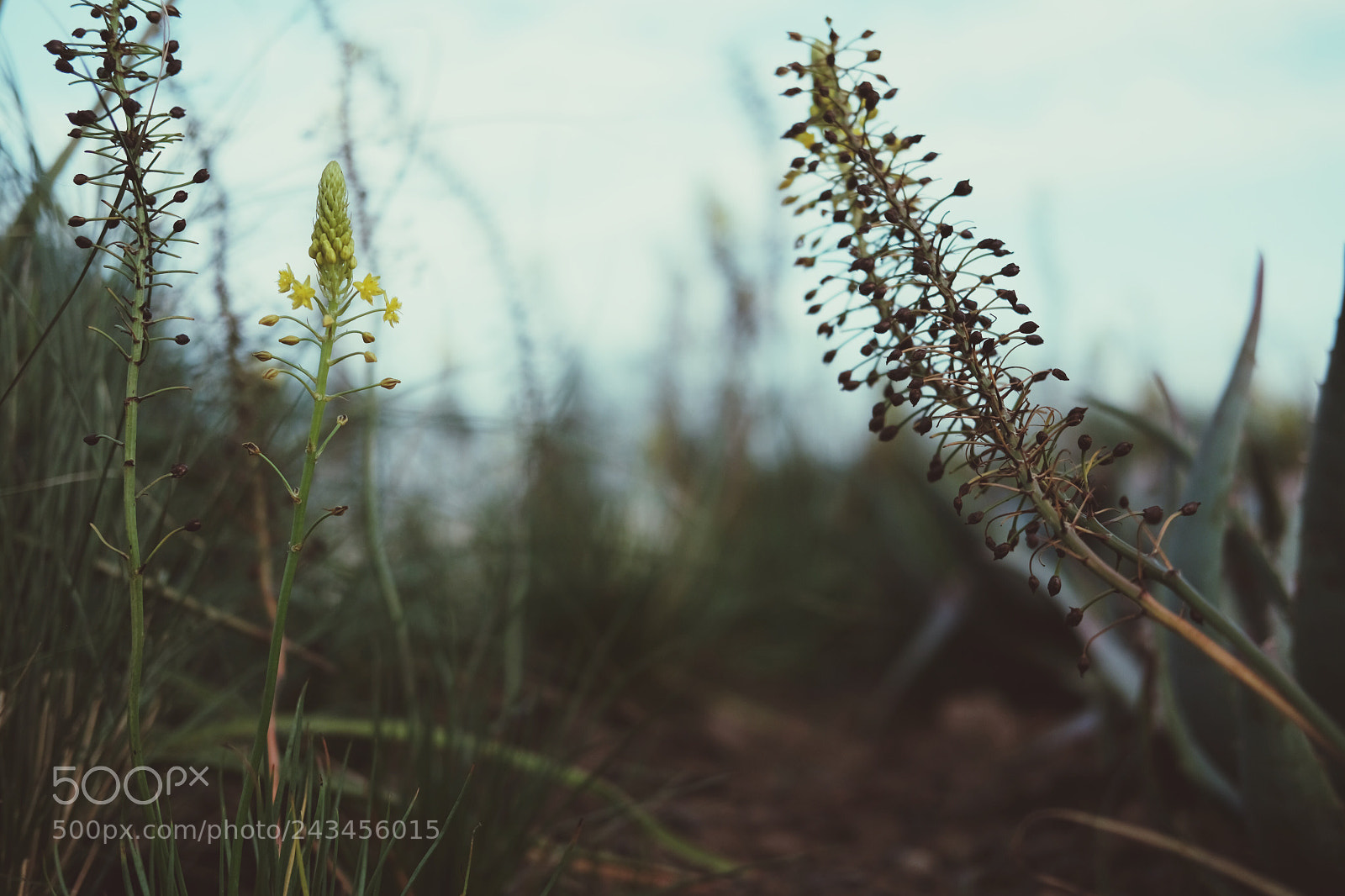 Fujifilm X-T20 sample photo. Untitled photography