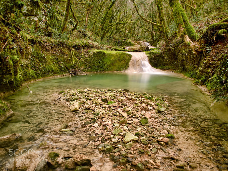 Olympus E-520 (EVOLT E-520) sample photo. Enchanted forest photography