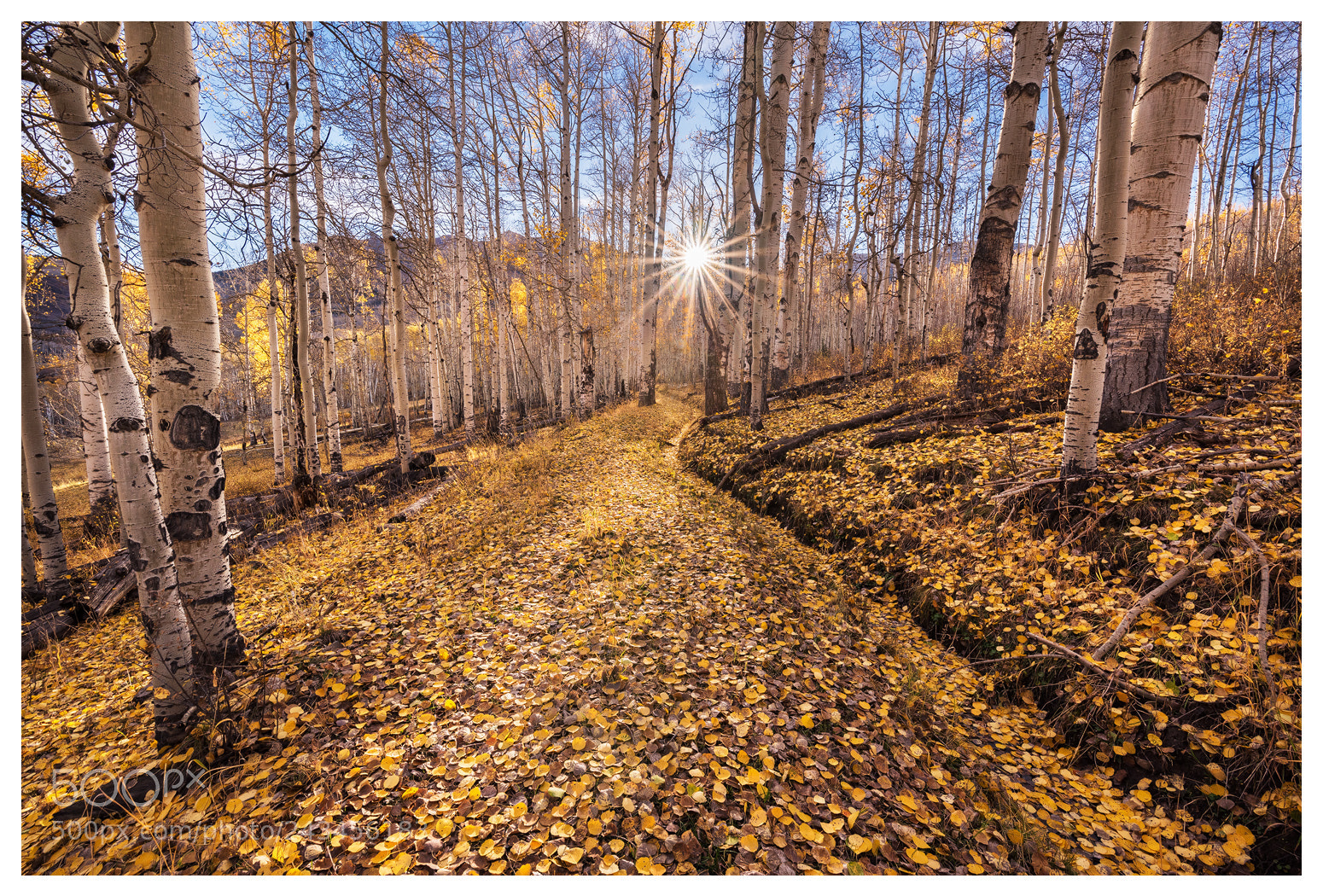 Nikon D810 sample photo. Autumn landscape photography