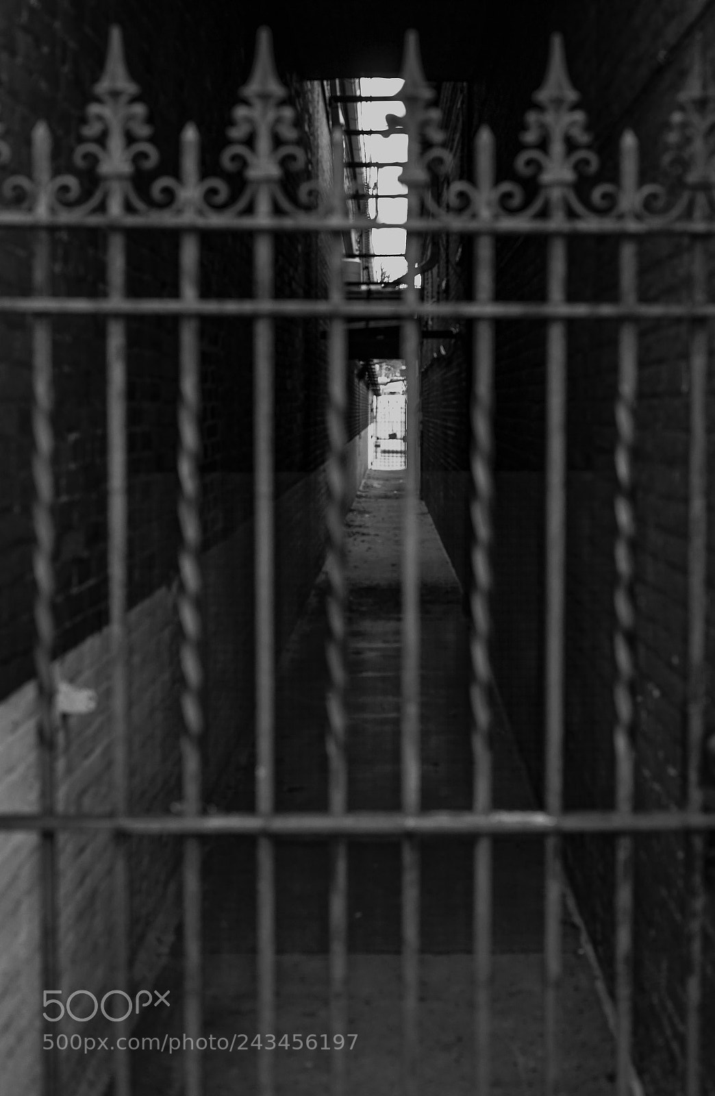 Sony a7 sample photo. Gated. photography