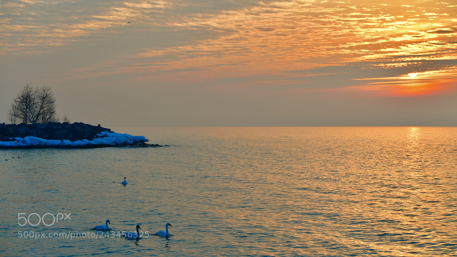 Nikon D5 sample photo. Sunrise of ontario lake photography