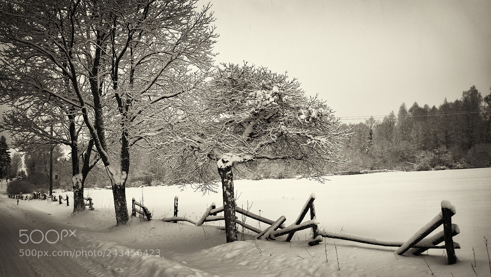 Panasonic Lumix DMC-G85 (Lumix DMC-G80) sample photo. Srní - Šumava mountains photography