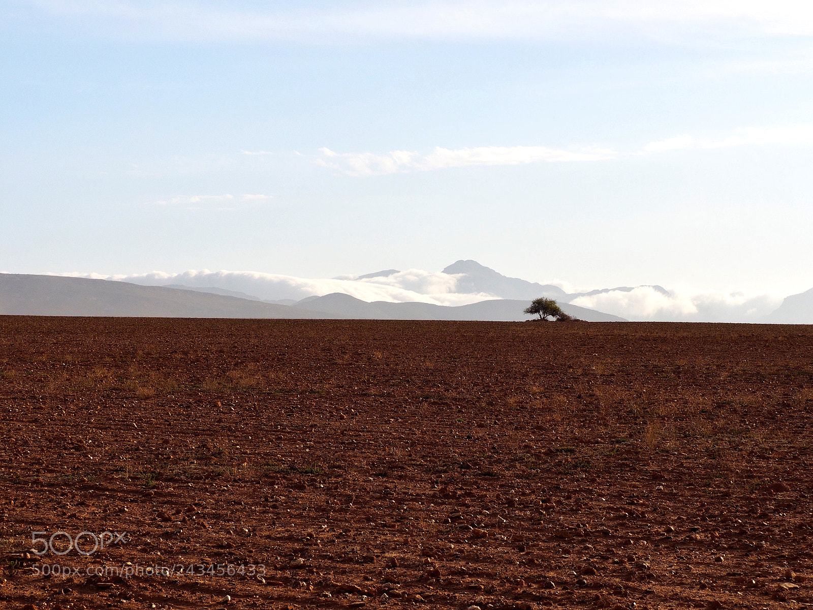 Olympus OM-D E-M1 sample photo. Fields of africa photography