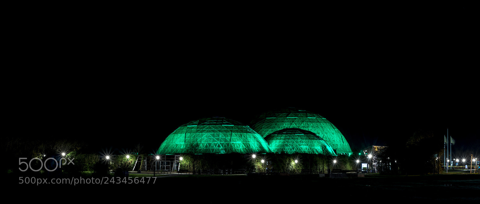 Nikon D800 sample photo. Randers regnskov photography