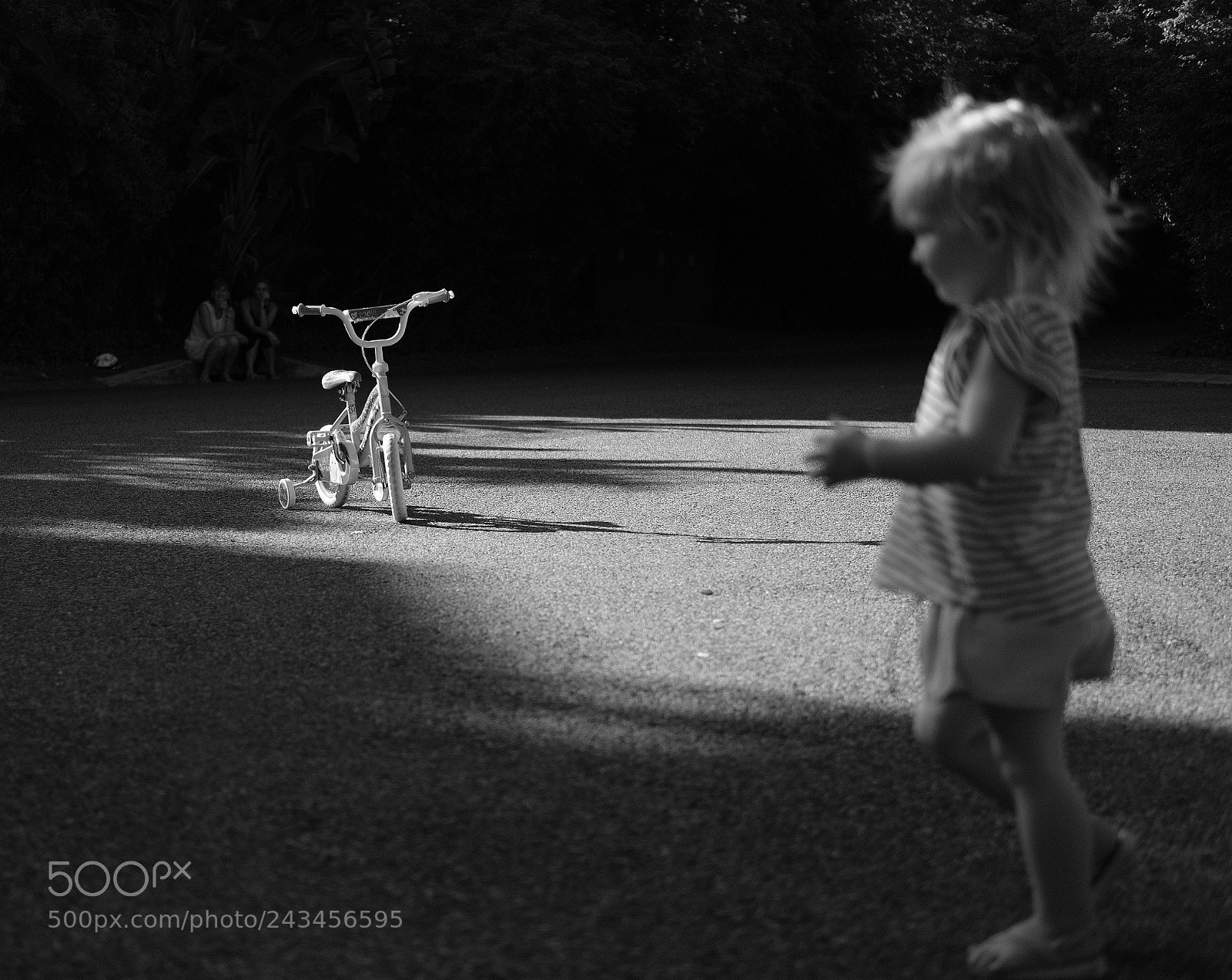Fujifilm X-T20 sample photo. Untitled photography