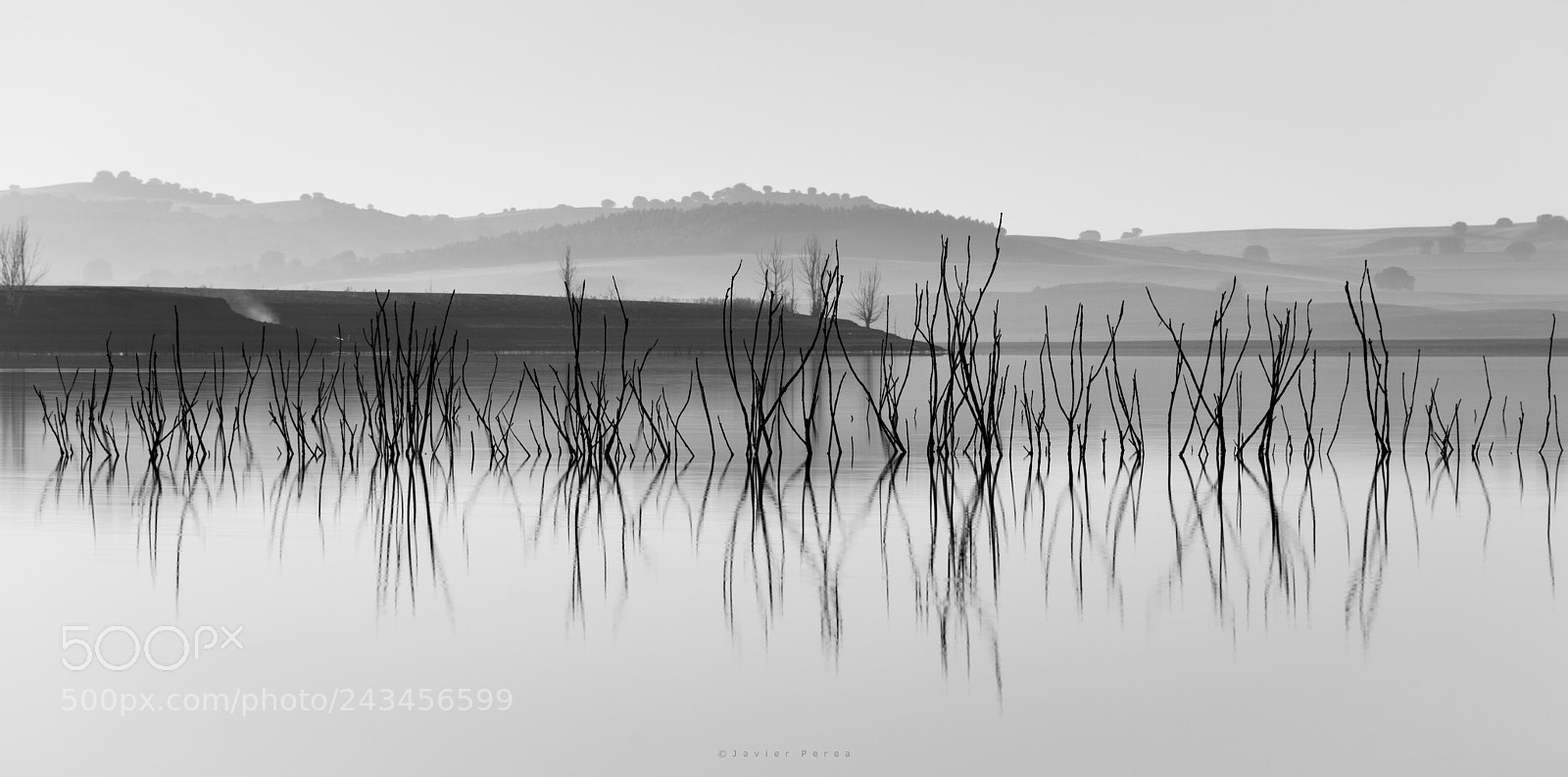 Nikon D7100 sample photo. Fog iv photography