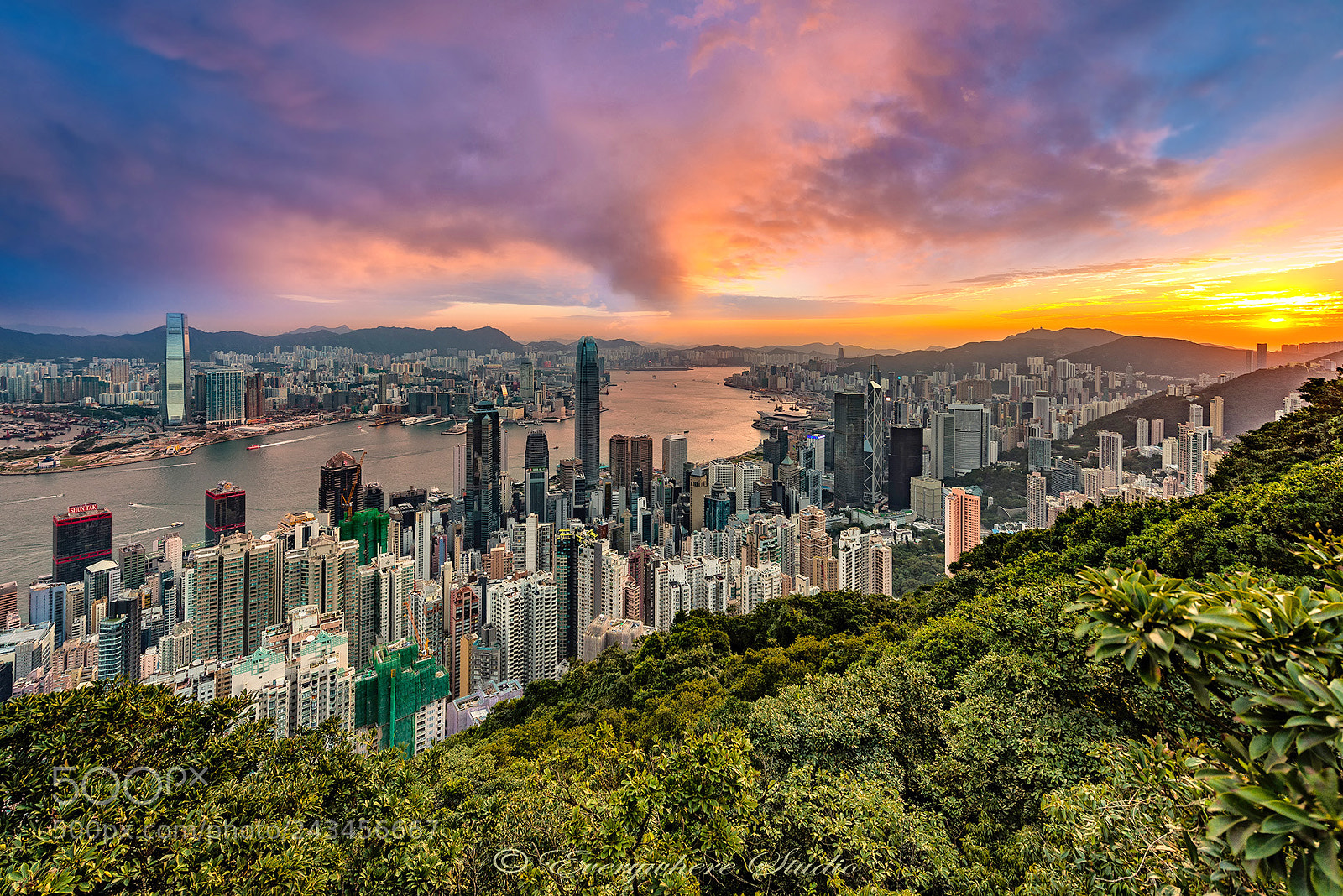 Nikon D800E sample photo. The jungle city photography