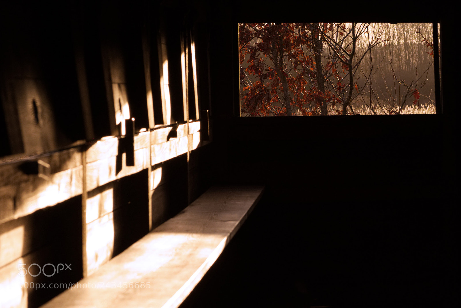 Nikon D7200 sample photo. In the hide photography