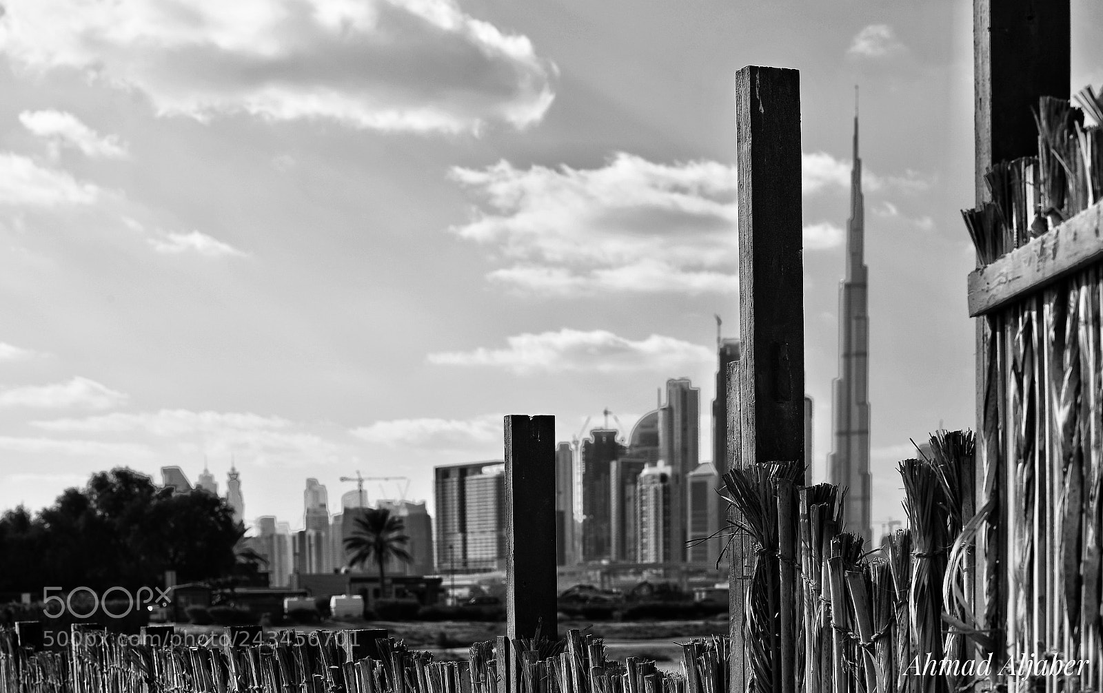 Nikon D5 sample photo. Dubai  photography