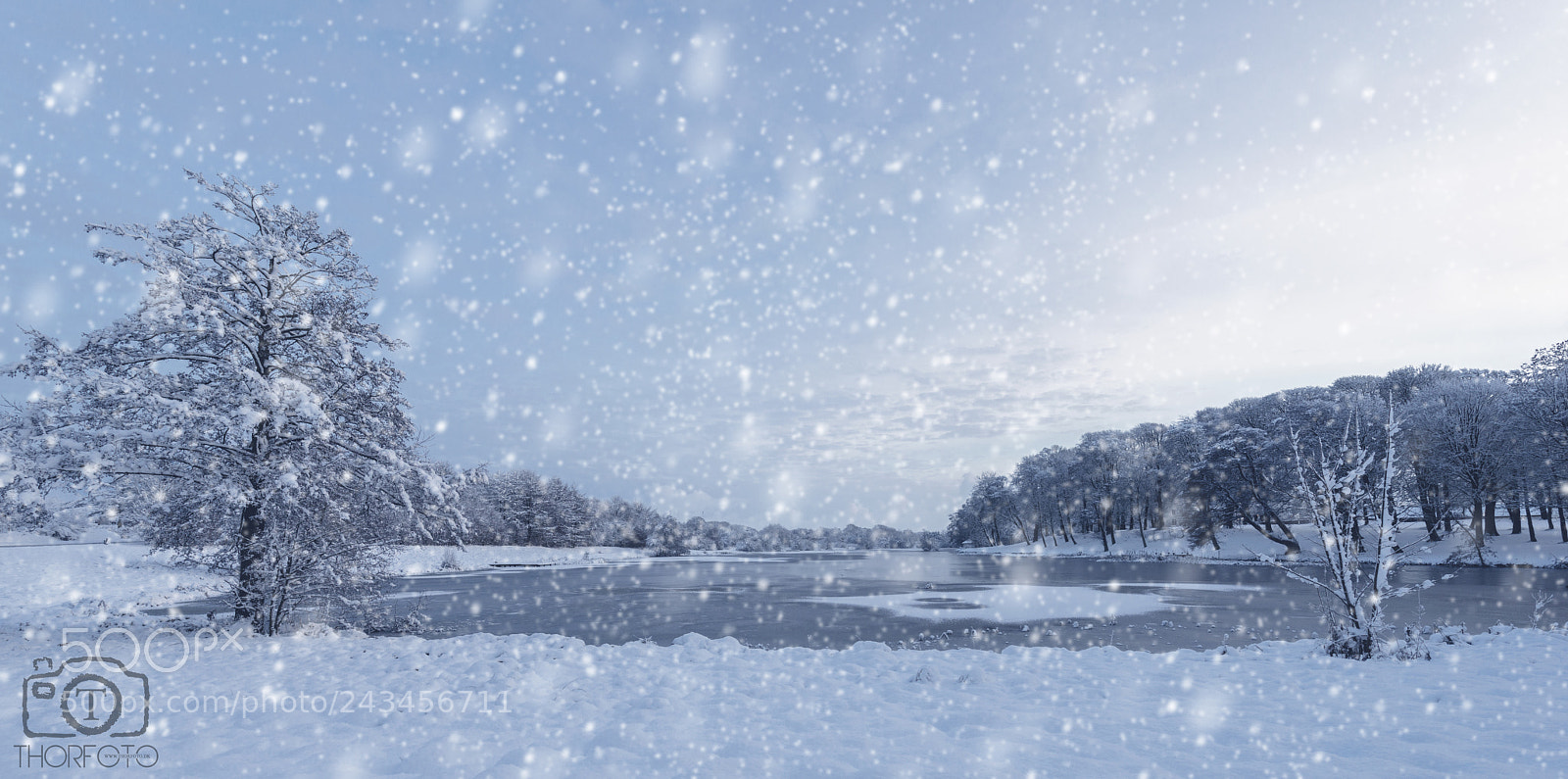Nikon D800 sample photo. Snow land photography