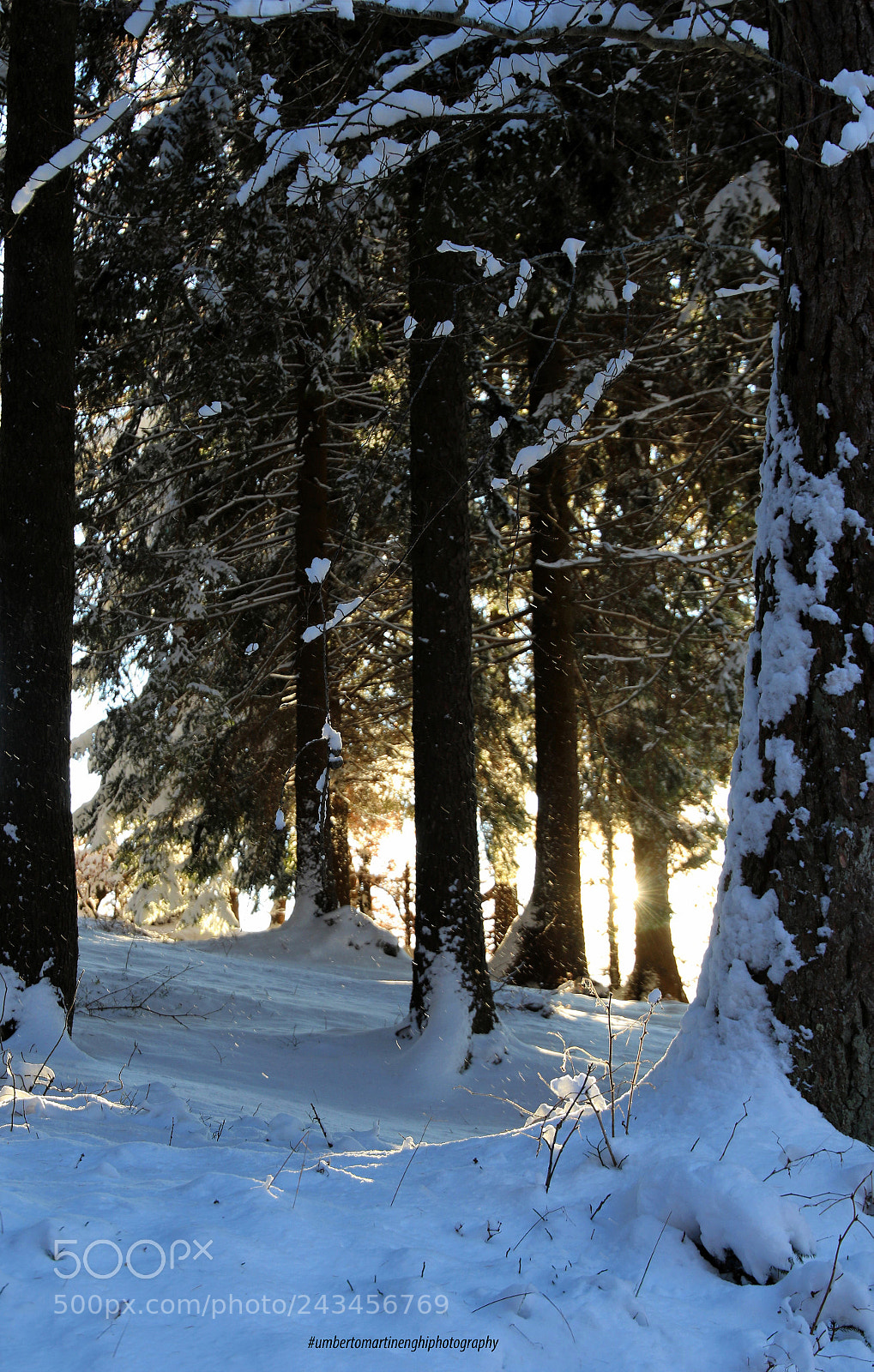 Canon EOS 7D Mark II sample photo. The light in the photography