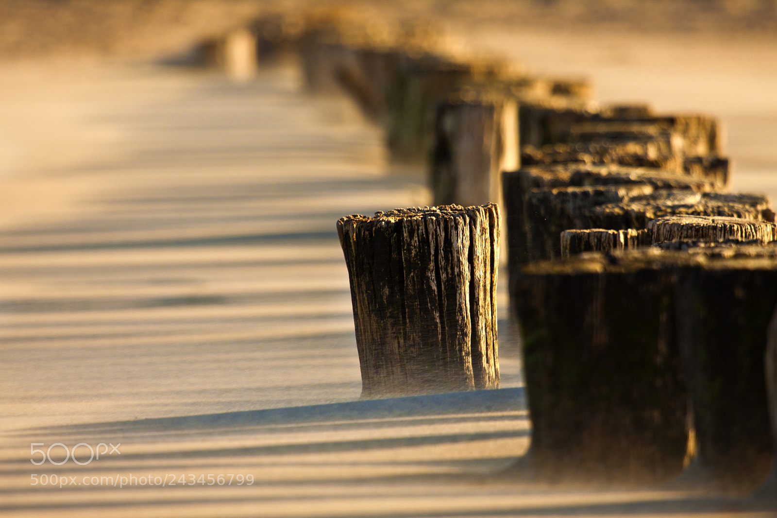 Canon EOS 50D sample photo. On the beach photography
