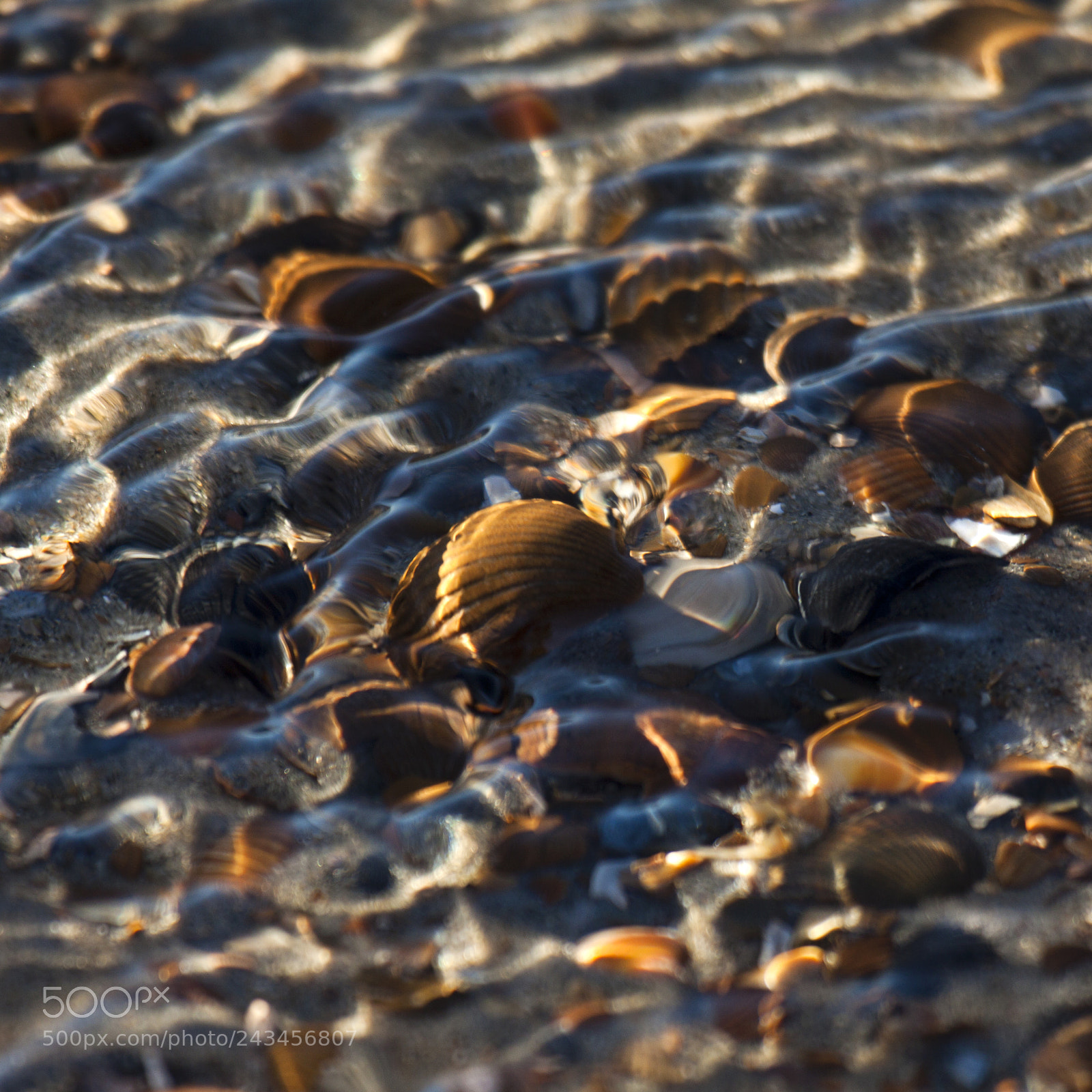 Canon EOS 50D sample photo. On the beach photography