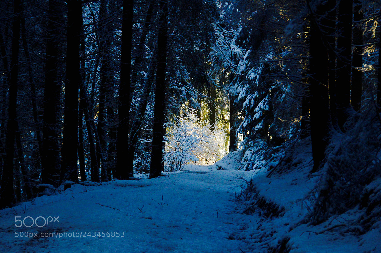 Canon EOS 650D (EOS Rebel T4i / EOS Kiss X6i) sample photo. Road into the light photography