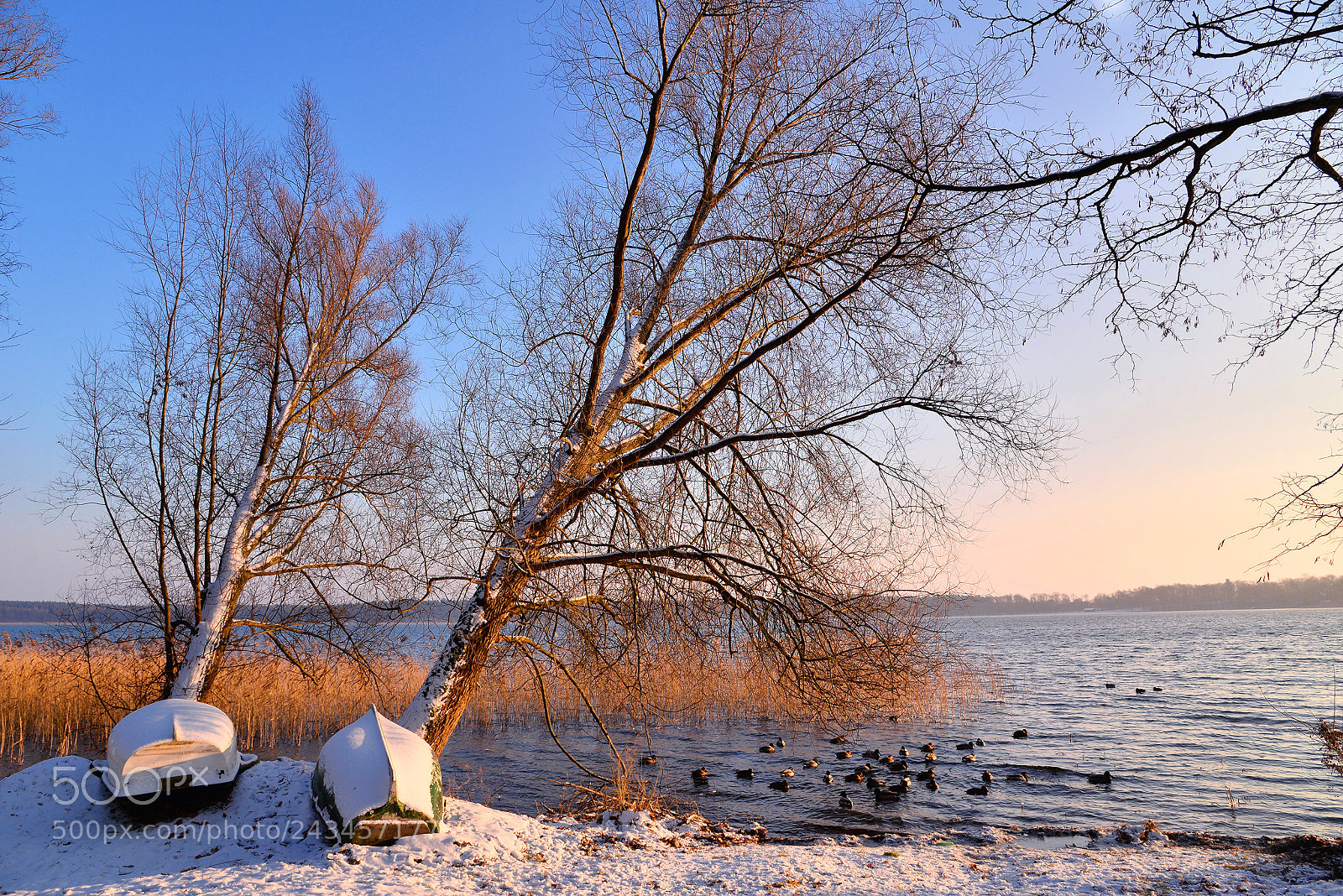 Nikon D610 sample photo. Winter morning by the photography