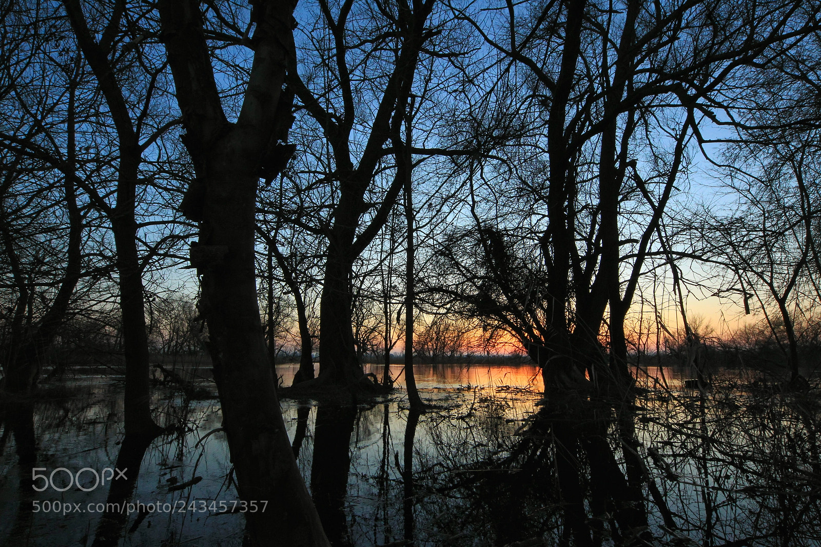 Canon EOS-1D Mark IV sample photo. Untitled photography