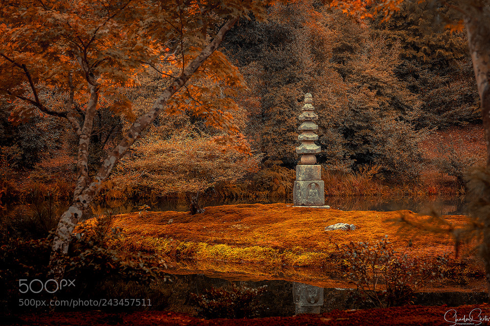 Canon EOS 5DS R sample photo. “zen” ©2018 photography
