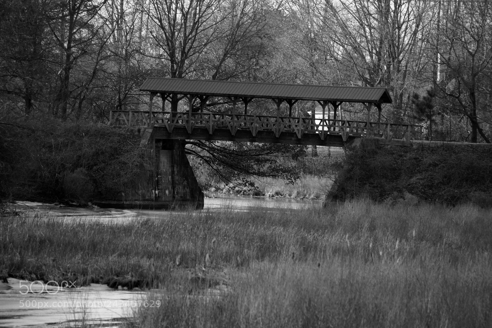 Sony SLT-A77 sample photo. Cover bridge photography