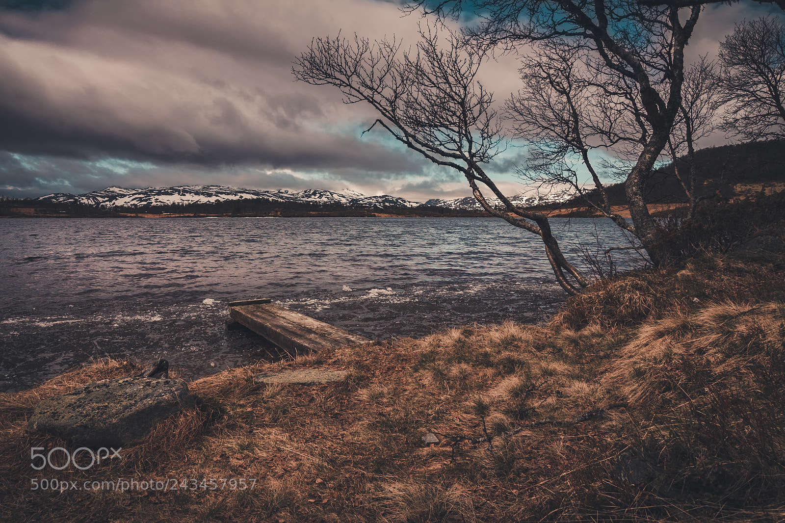 Canon EOS 60D sample photo. Sitting at the lake photography