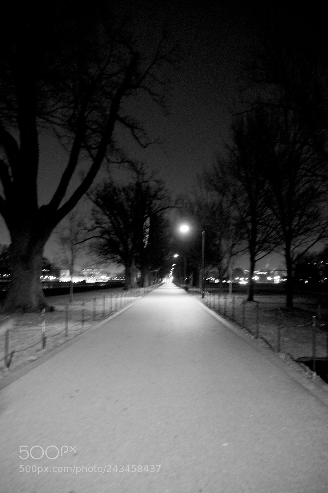 Sony SLT-A77 sample photo. Late night walk photography