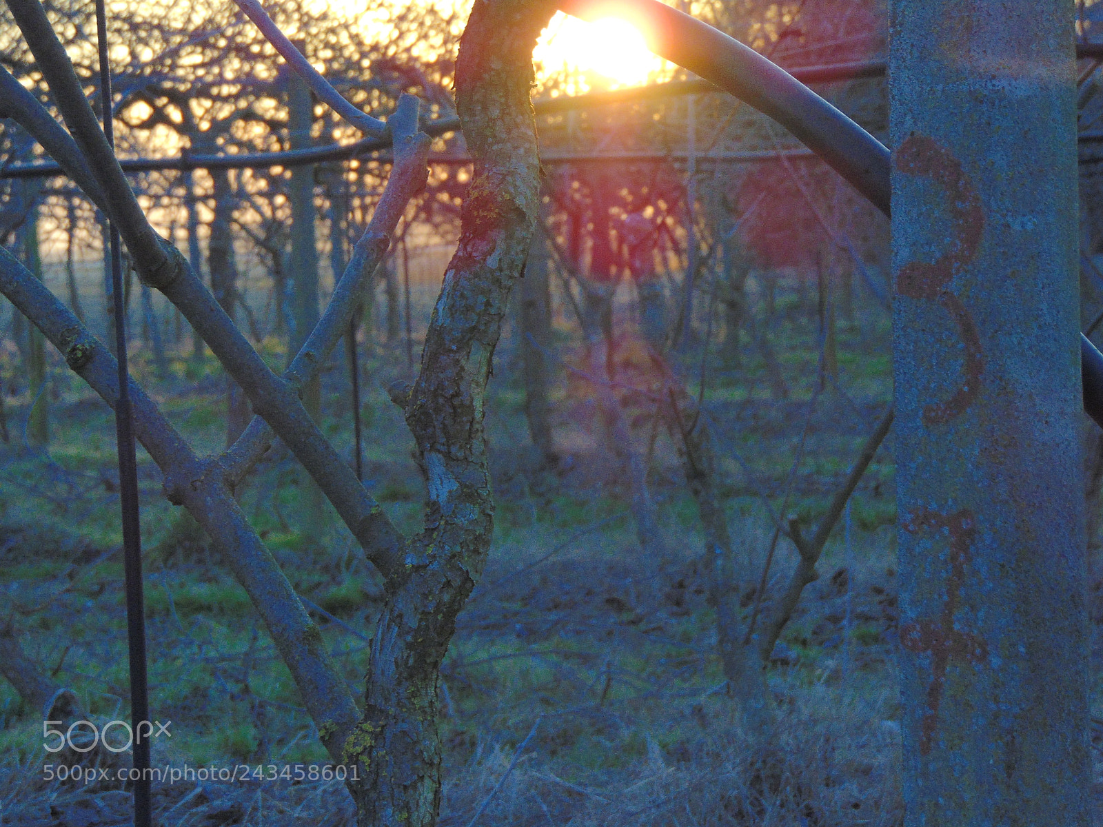 Sony Cyber-shot DSC-H300 sample photo. The last days of photography