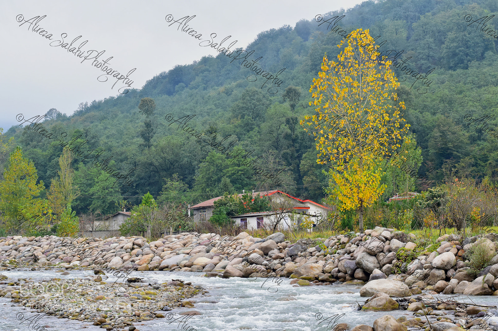 Nikon D5500 sample photo. Untitled photography