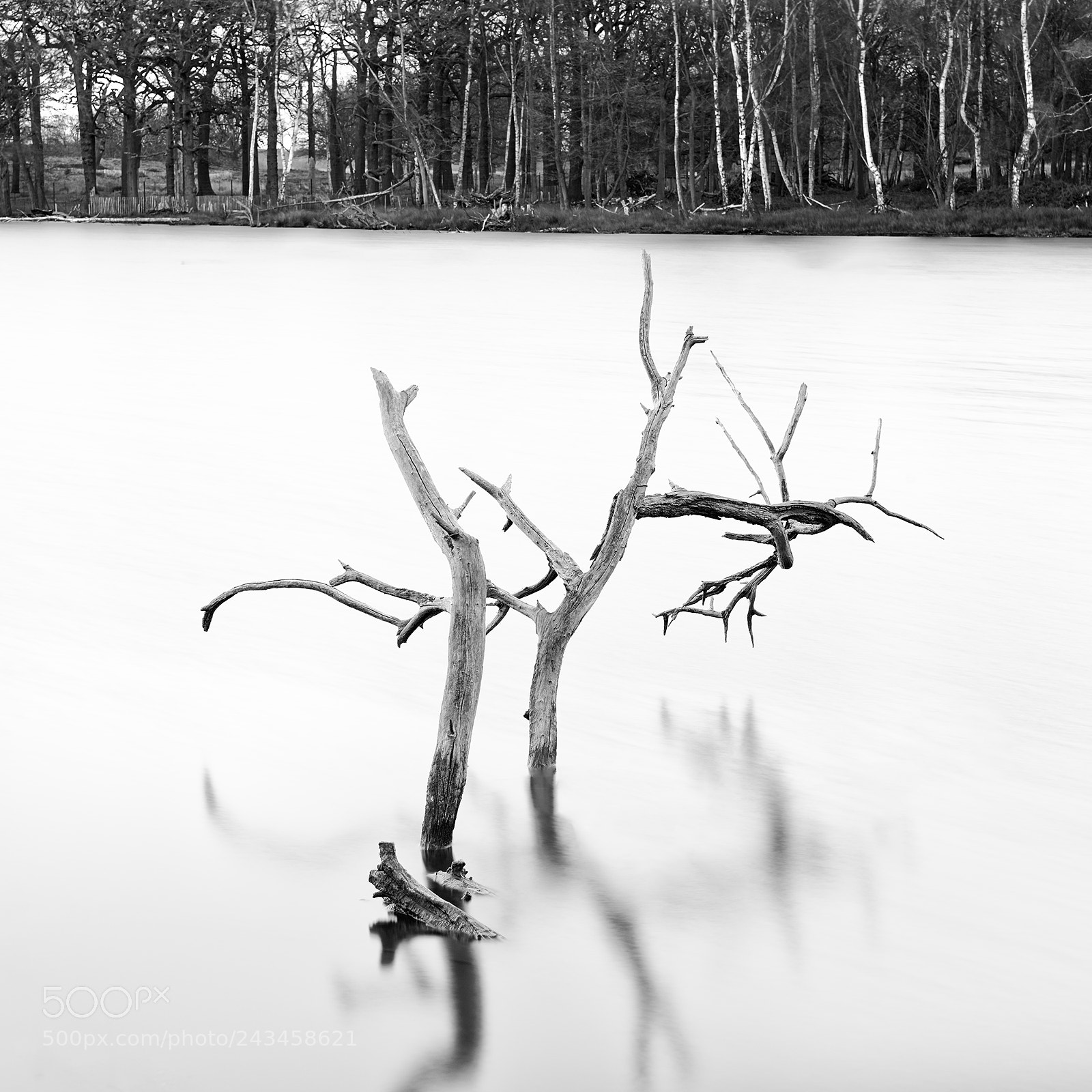 Nikon D810 sample photo. Remains photography