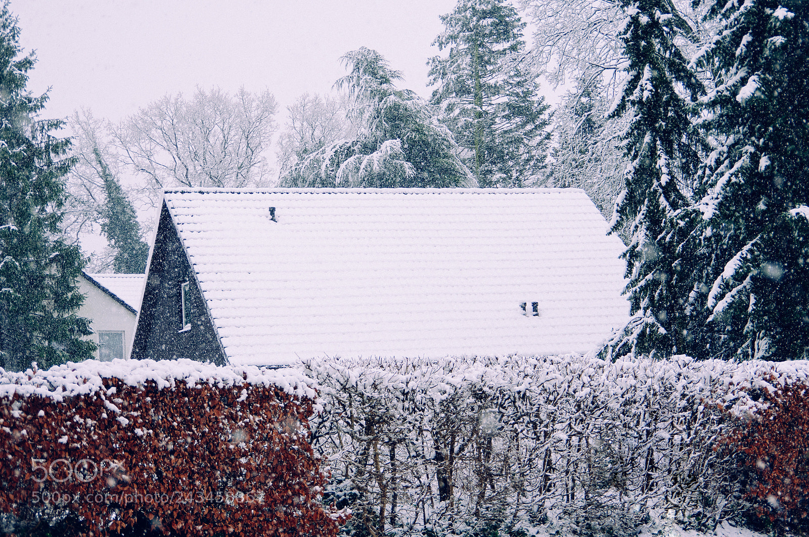 Pentax K-3 sample photo. Gro er schnee in photography