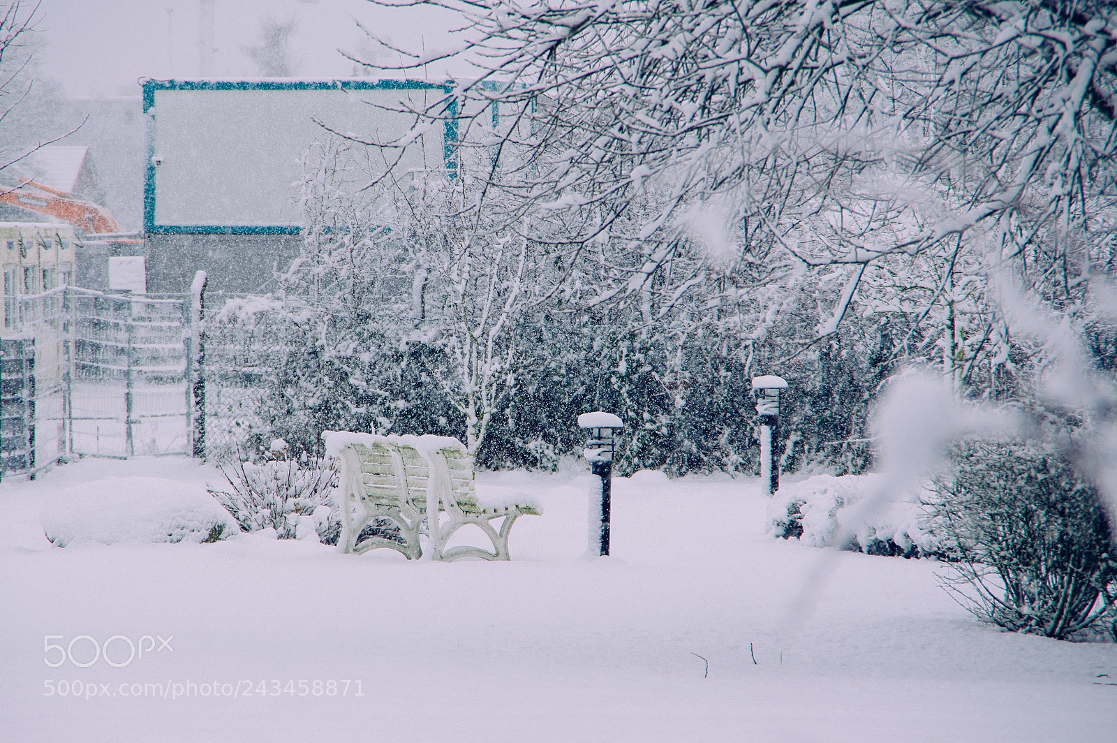 Pentax K-3 sample photo. Gro er schnee in photography