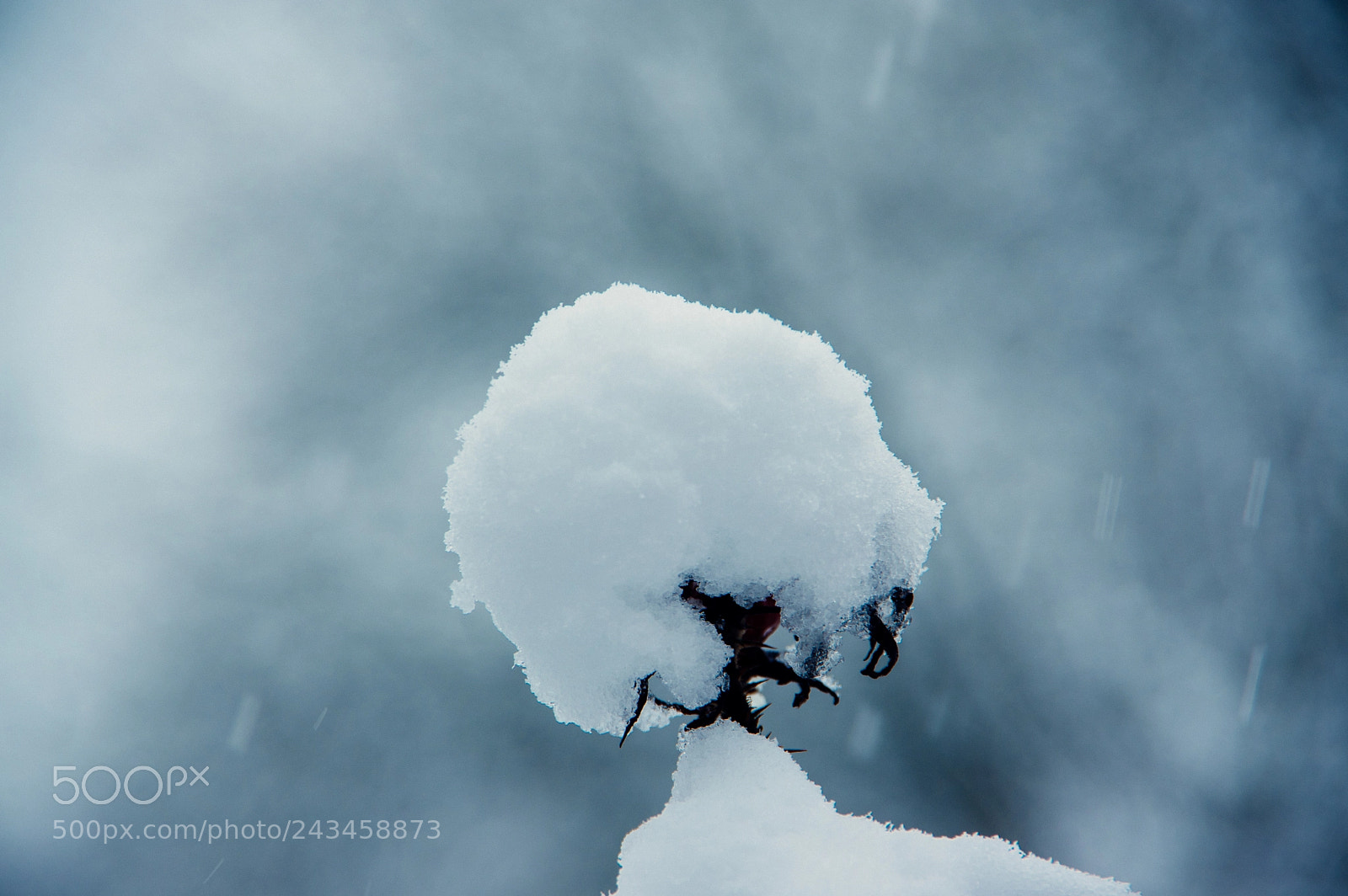Pentax K-3 sample photo. Gro er schnee in photography