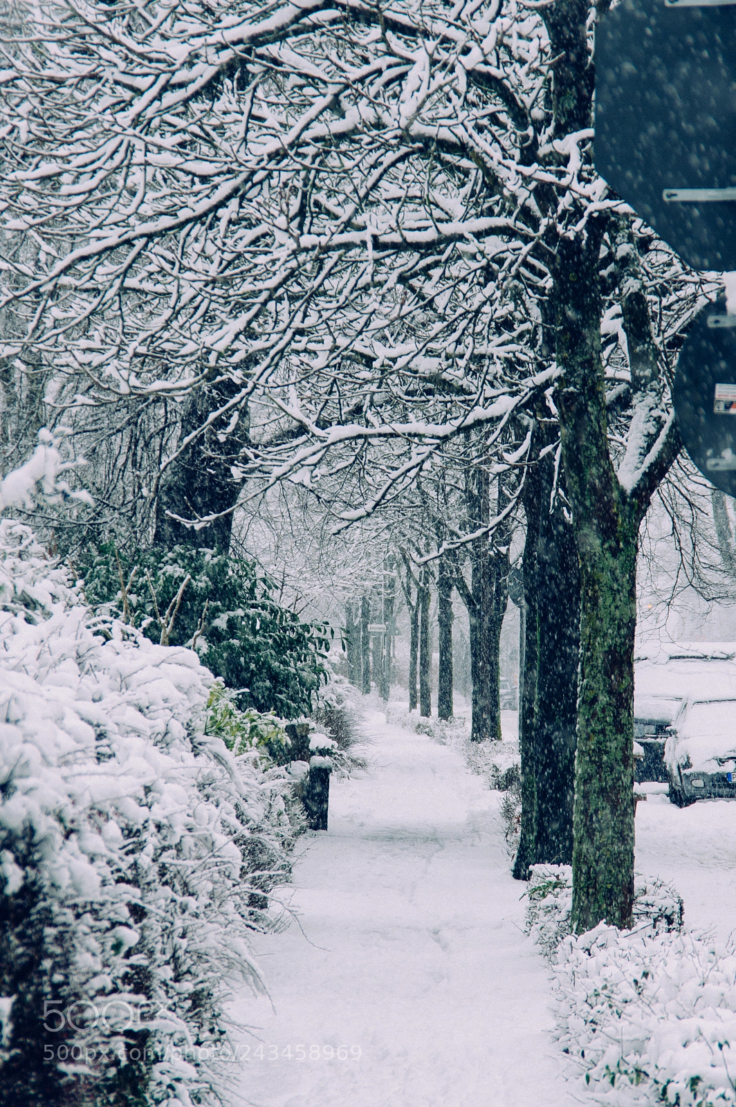 Pentax K-3 sample photo. Gro er schnee in photography