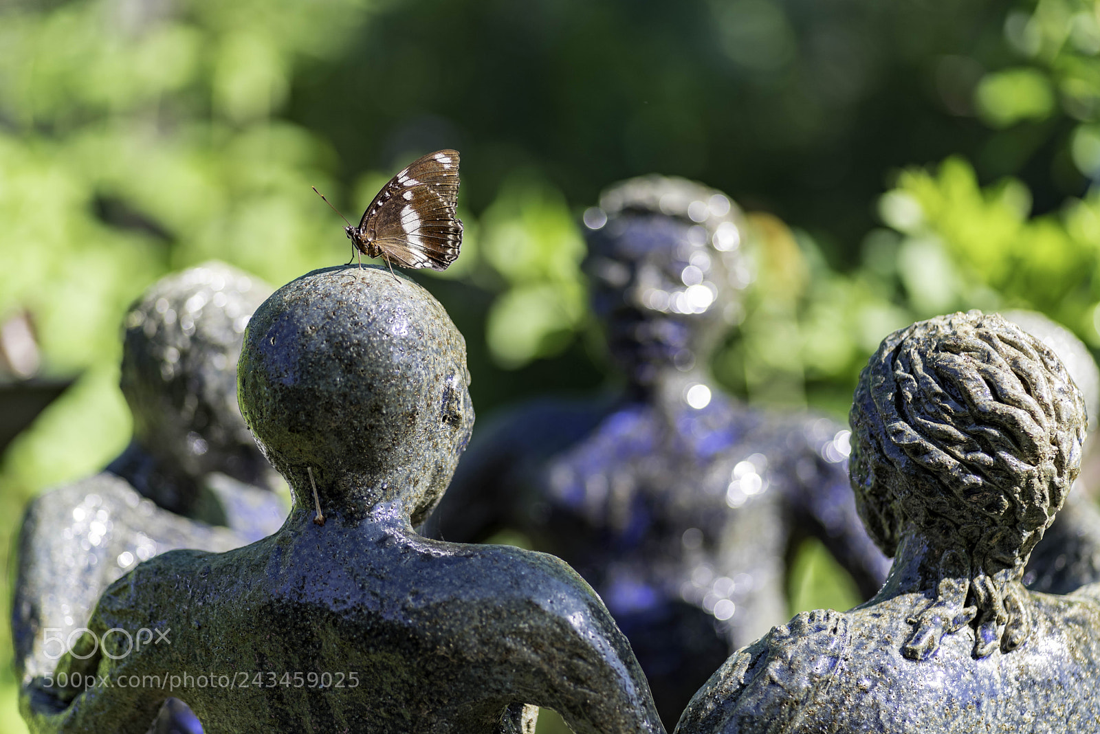 Pentax K-1 sample photo. Resting spot photography