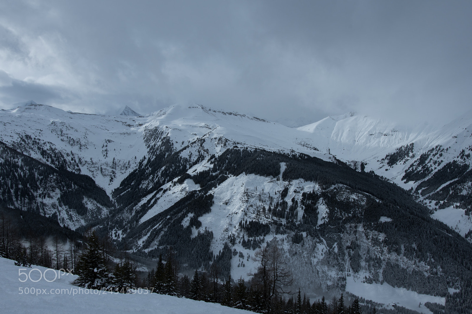 Nikon D500 sample photo. The alps when the photography