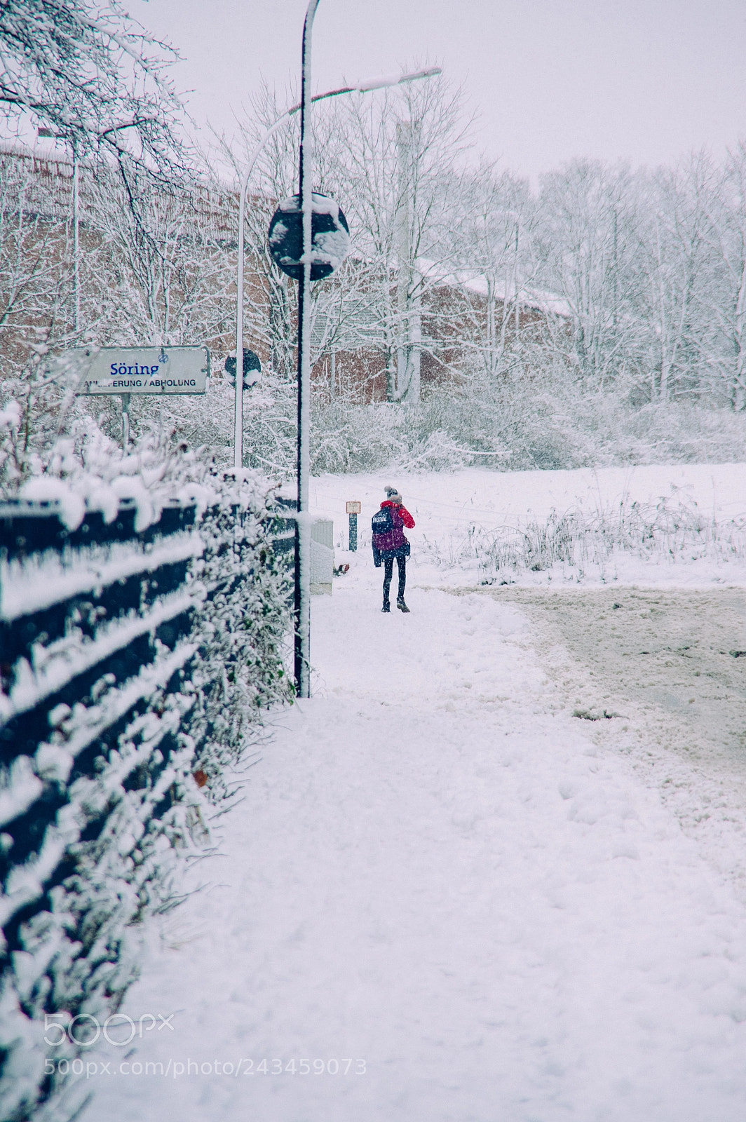 Pentax K-3 sample photo. Gro er schnee in photography