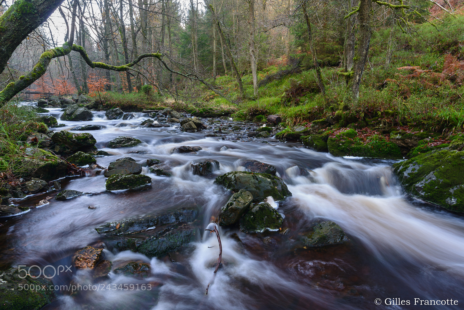 Nikon D800 sample photo. Hoëgne river photography