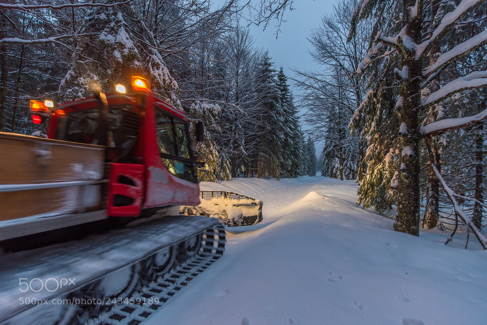 Nikon D810 sample photo. Loipe an der martinskapelle photography