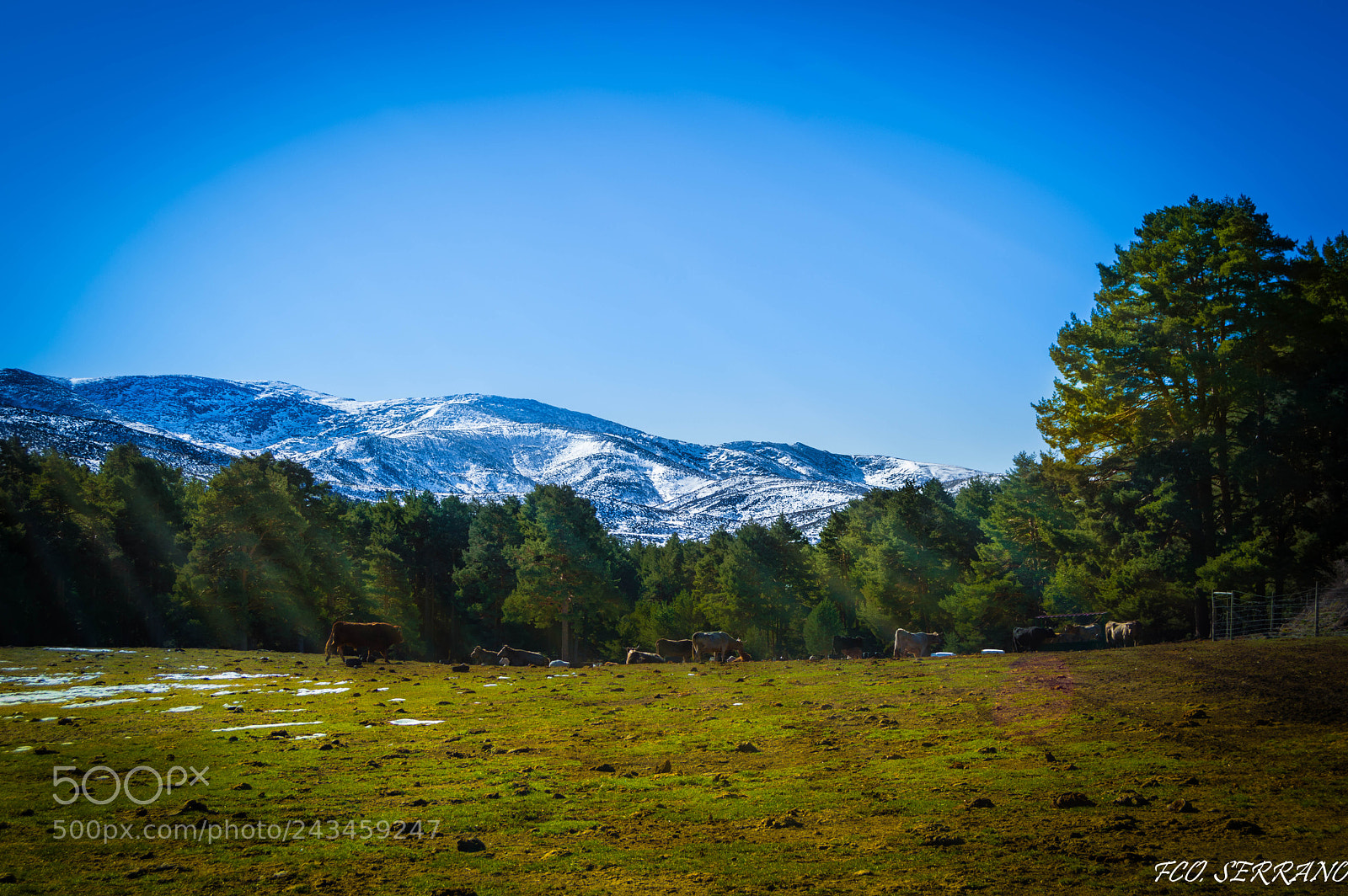 Nikon D3200 sample photo. Sierra de gredos desde photography