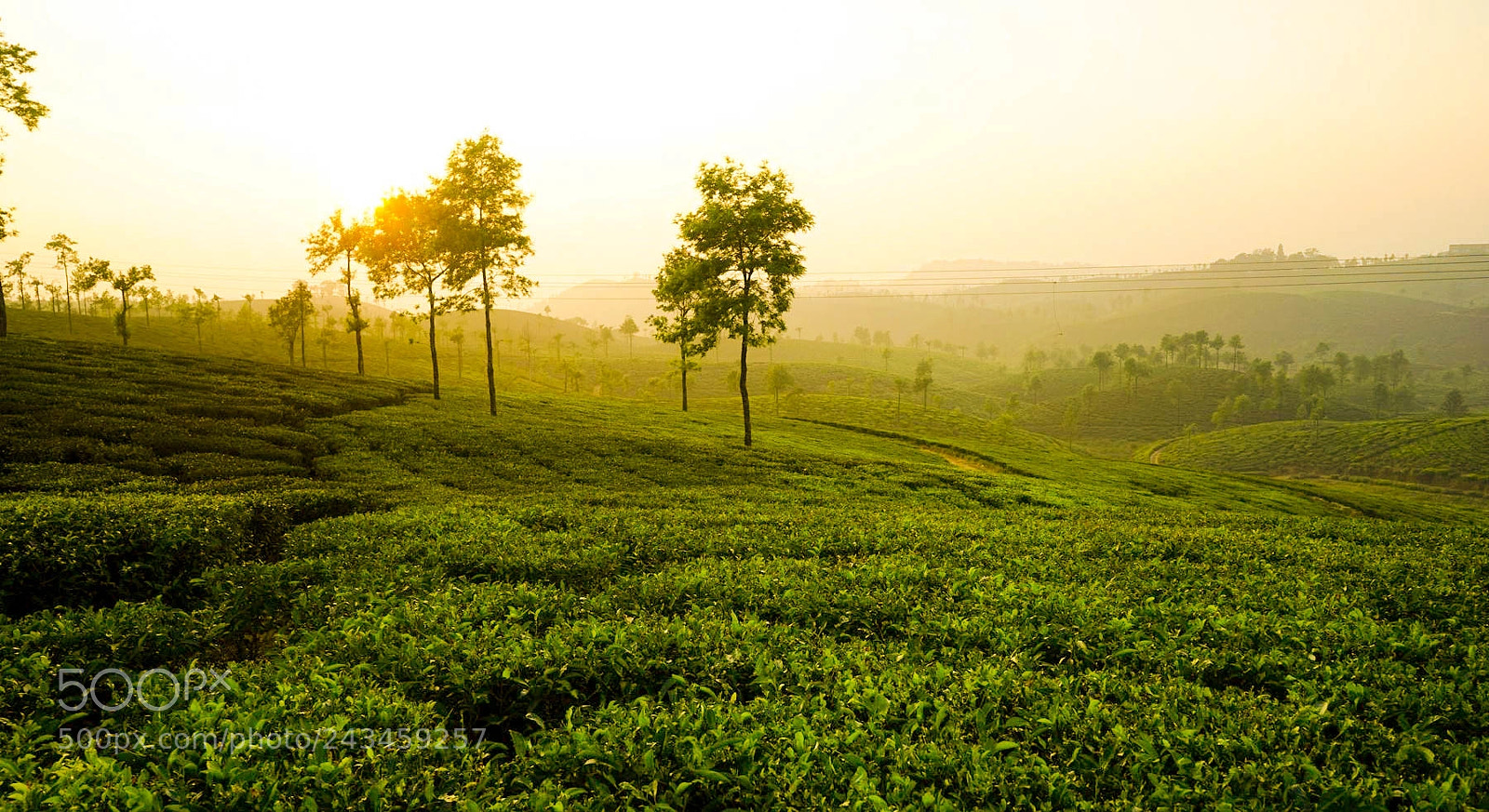 Sony a7 sample photo. Valparai, tamil nadu, india photography