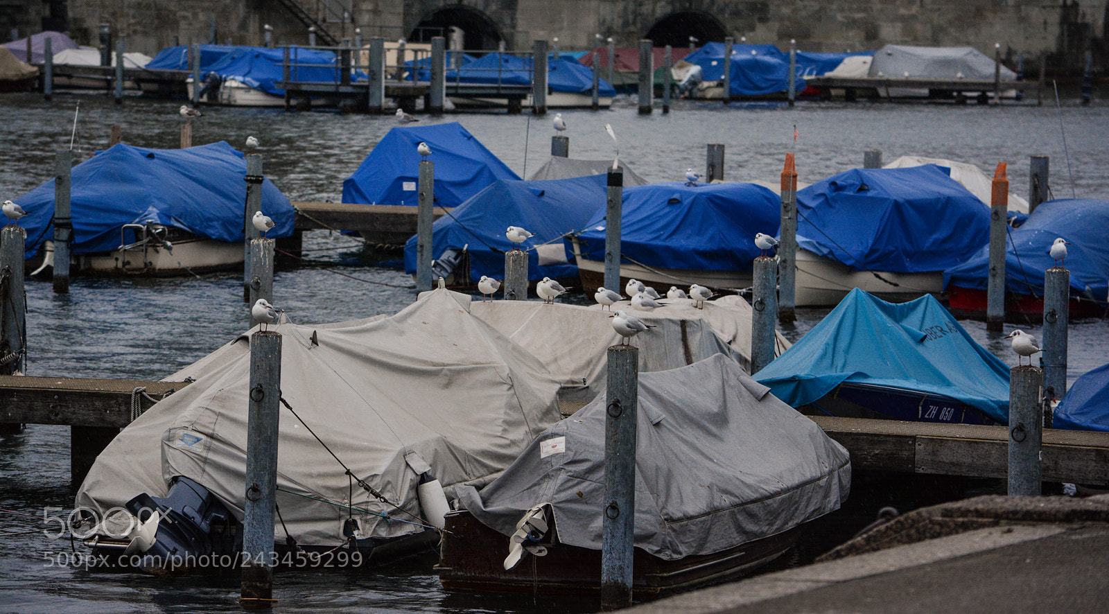 Nikon D7100 sample photo. Untitled photography