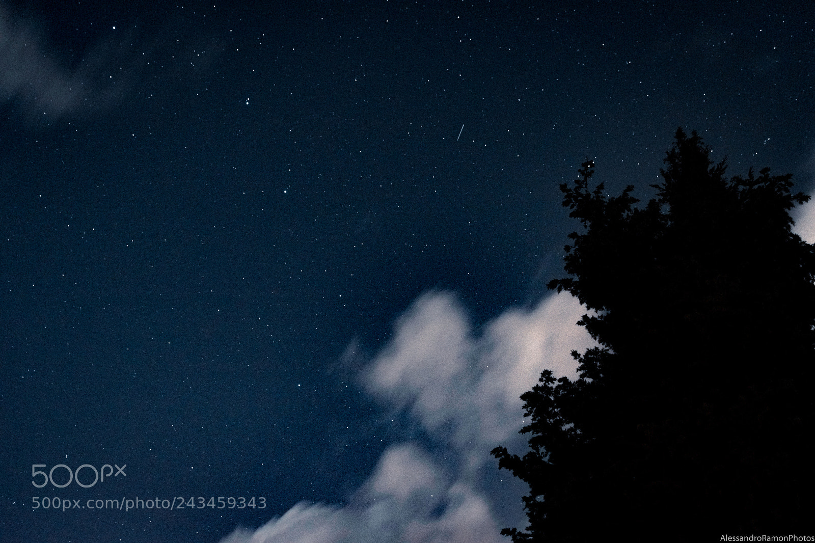 Nikon D5500 sample photo. Wishing on a star photography