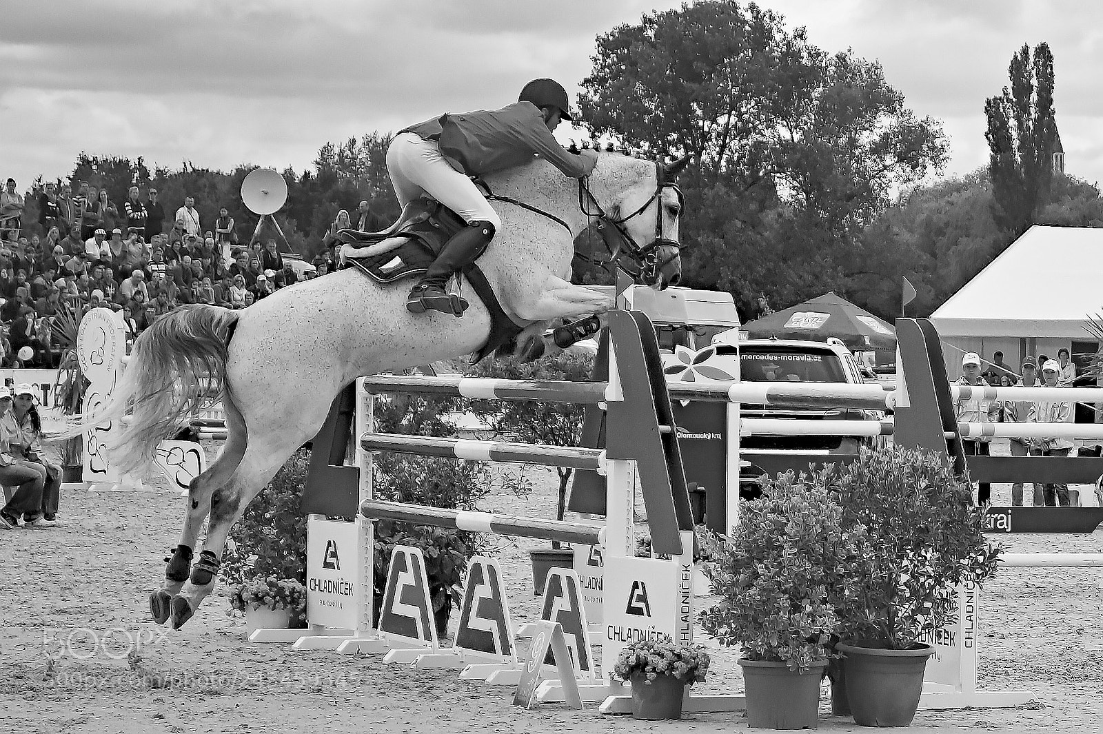 Nikon D3100 sample photo. Jump photography