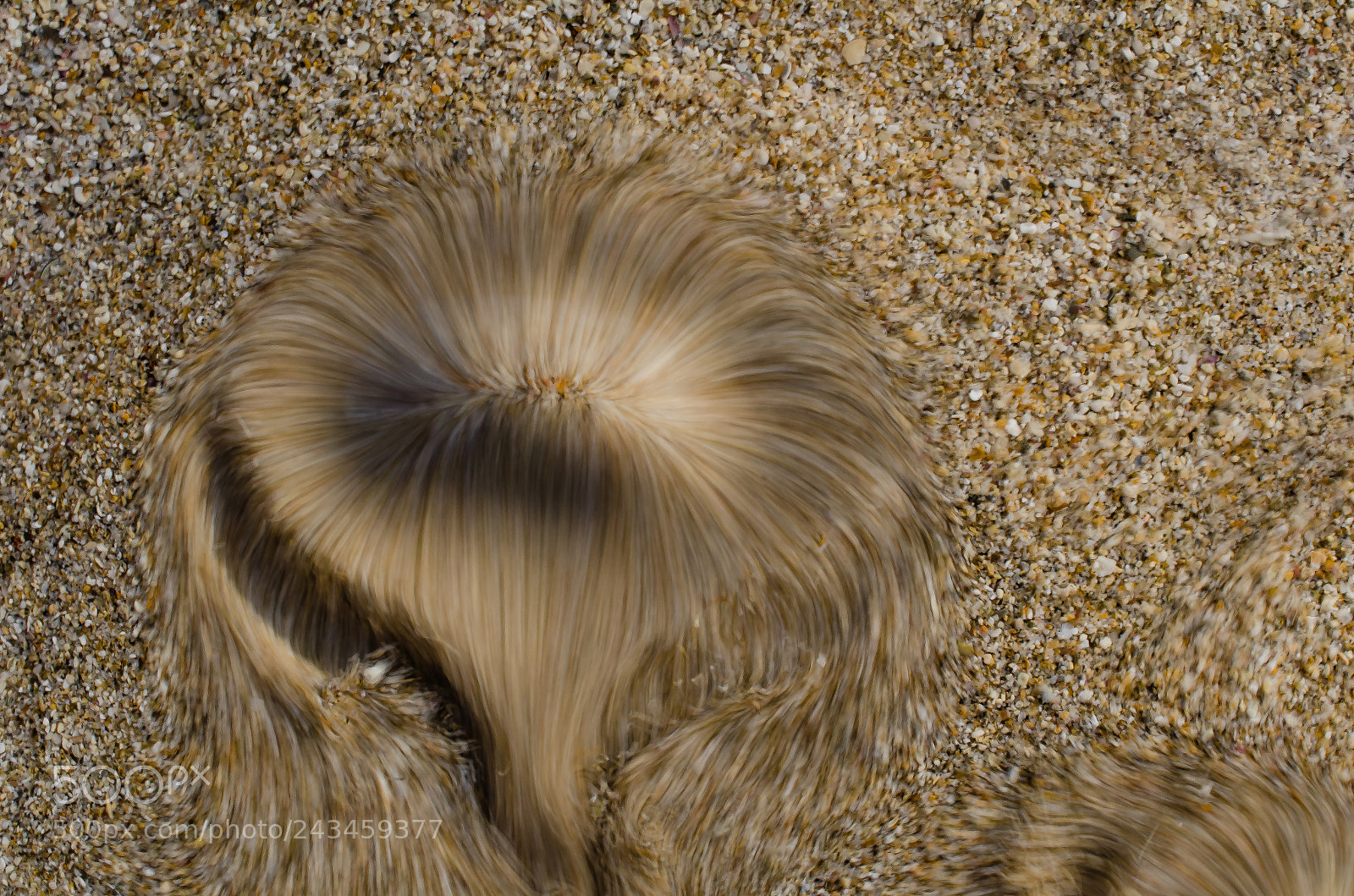 Nikon D7000 sample photo. Freshwater on beach photography