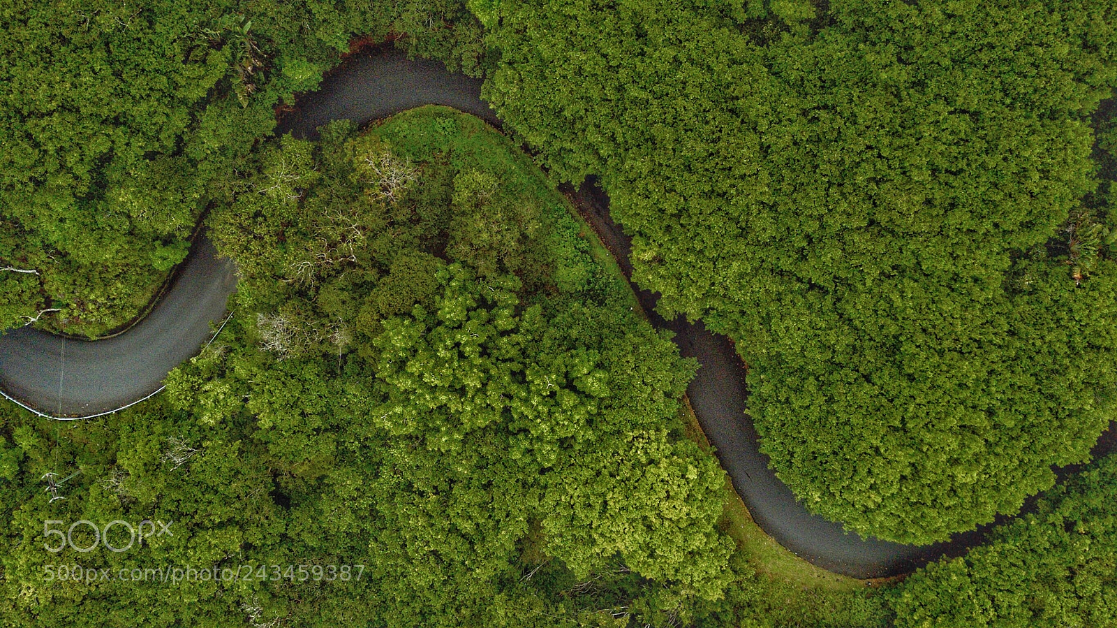 DJI FC220 sample photo. Snake photography