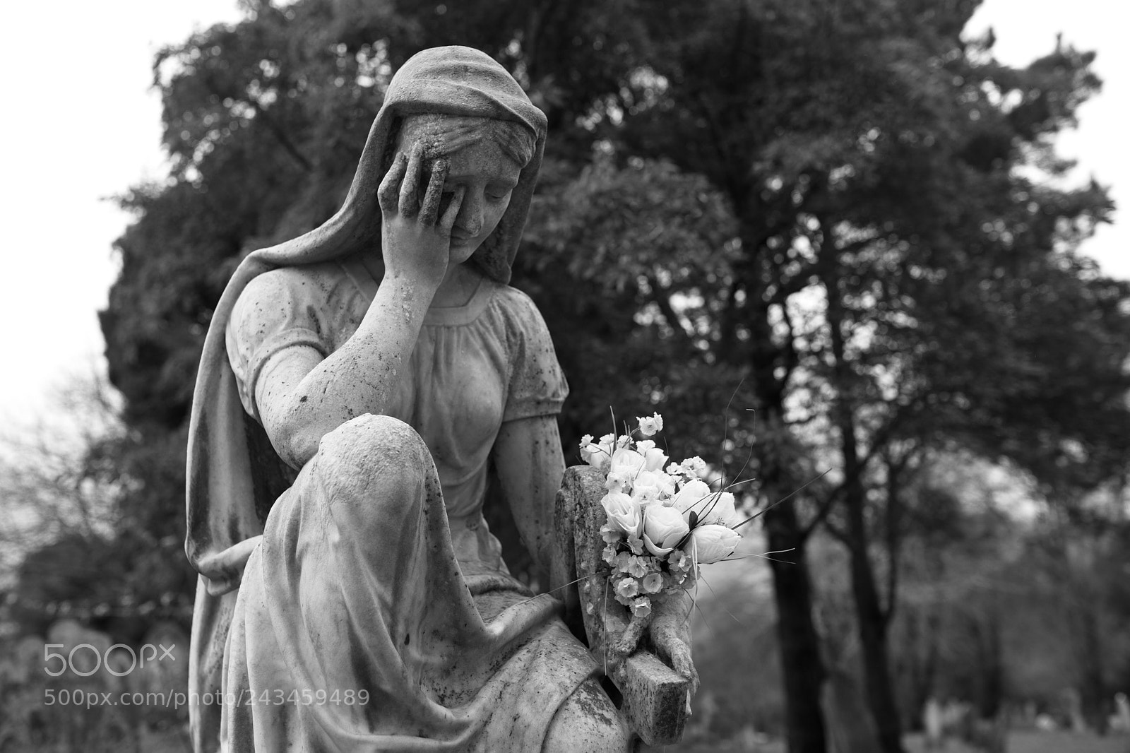 Nikon D700 sample photo. Don't cry photography