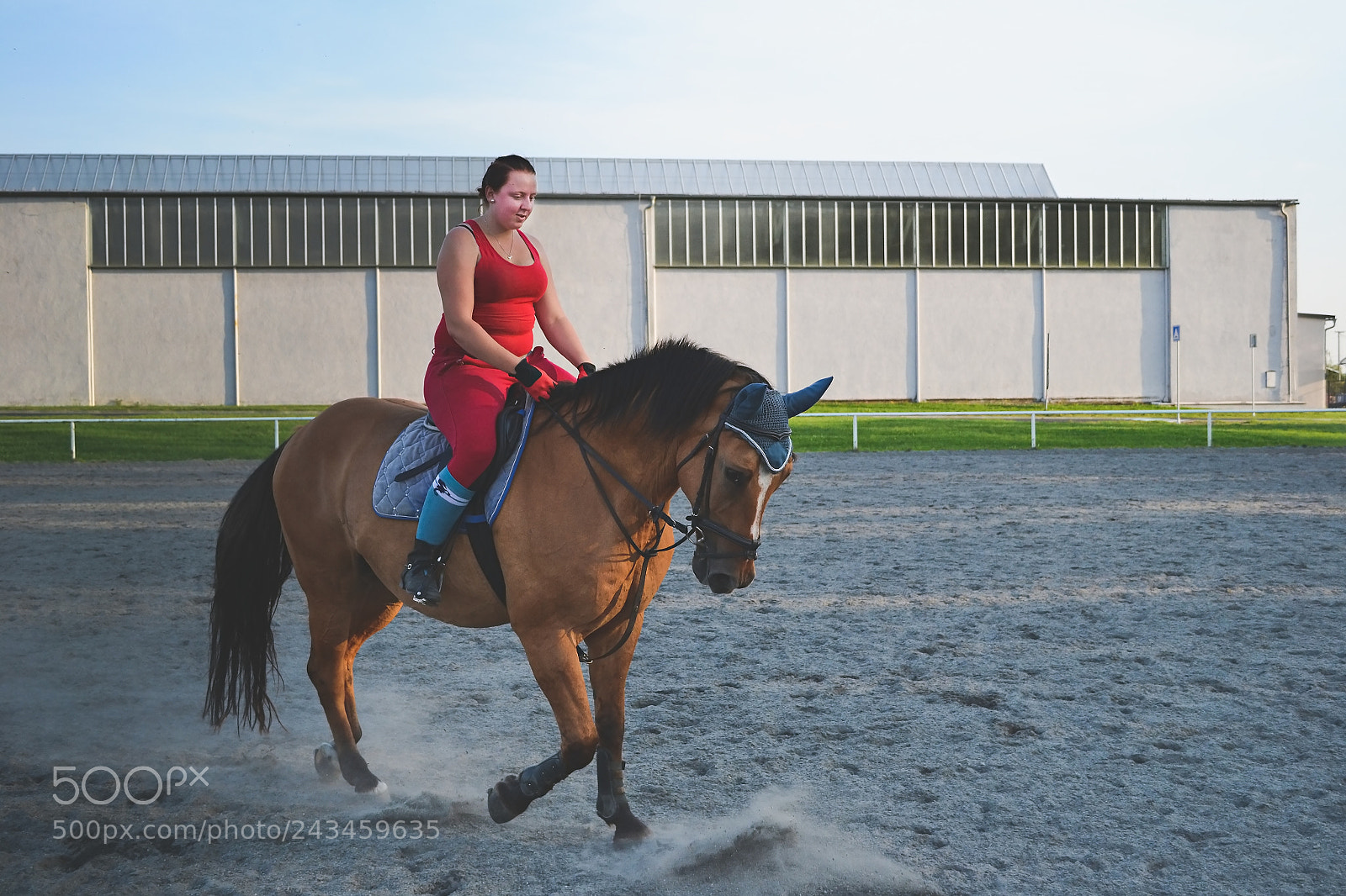 Nikon D3100 sample photo. Red and blue photography
