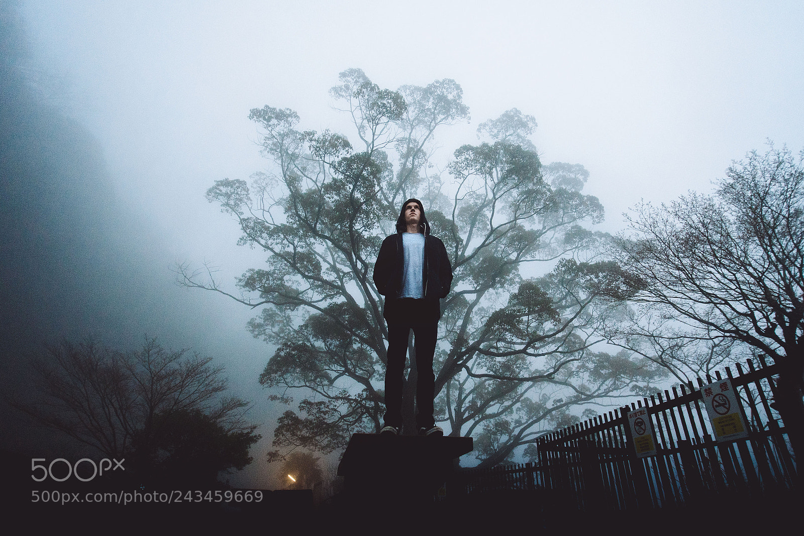 Sony a7 II sample photo. Infinite photography