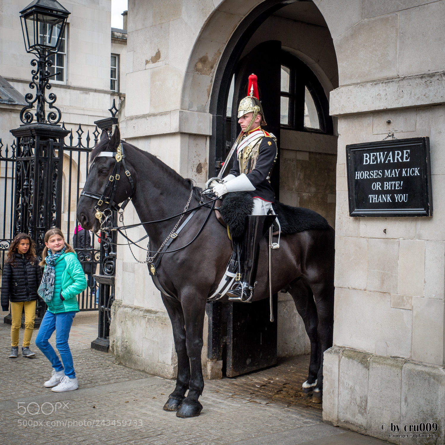 Nikon D610 sample photo. London - horse guard photography
